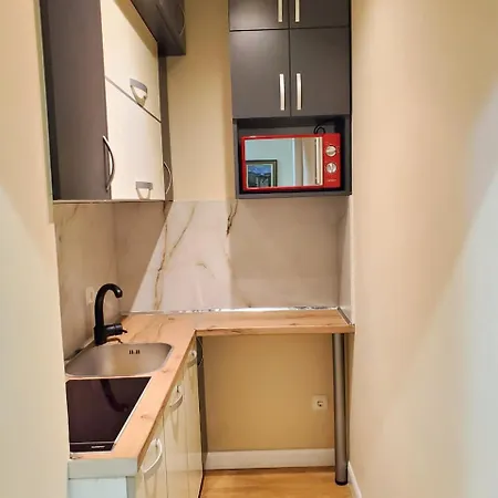 Centralgem Luxury Apartment * Tirana